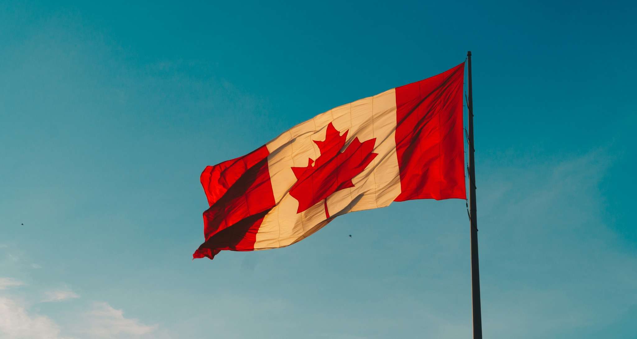 🇨🇦 Comment demander la citoyenneté canadienne : guide complet
