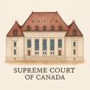 The Justice System